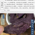 紫苏叶药用干货各种中药材批发零售各种紫苏叶中药材