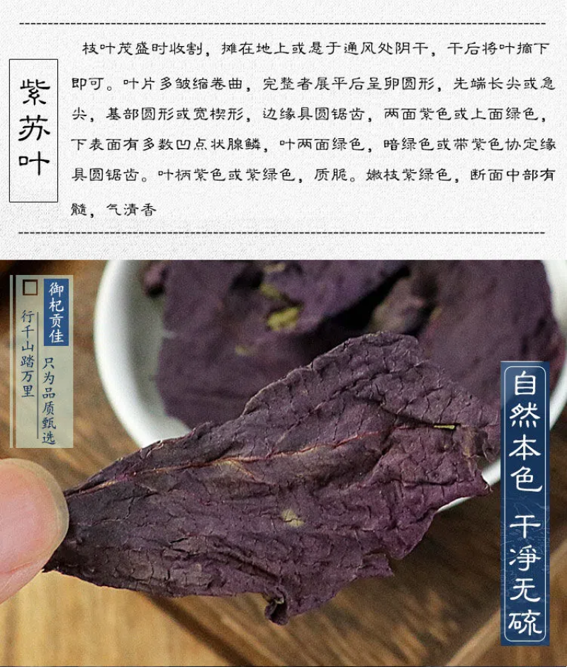紫苏叶药用干货各种中药材批发零售各种紫苏叶中药材