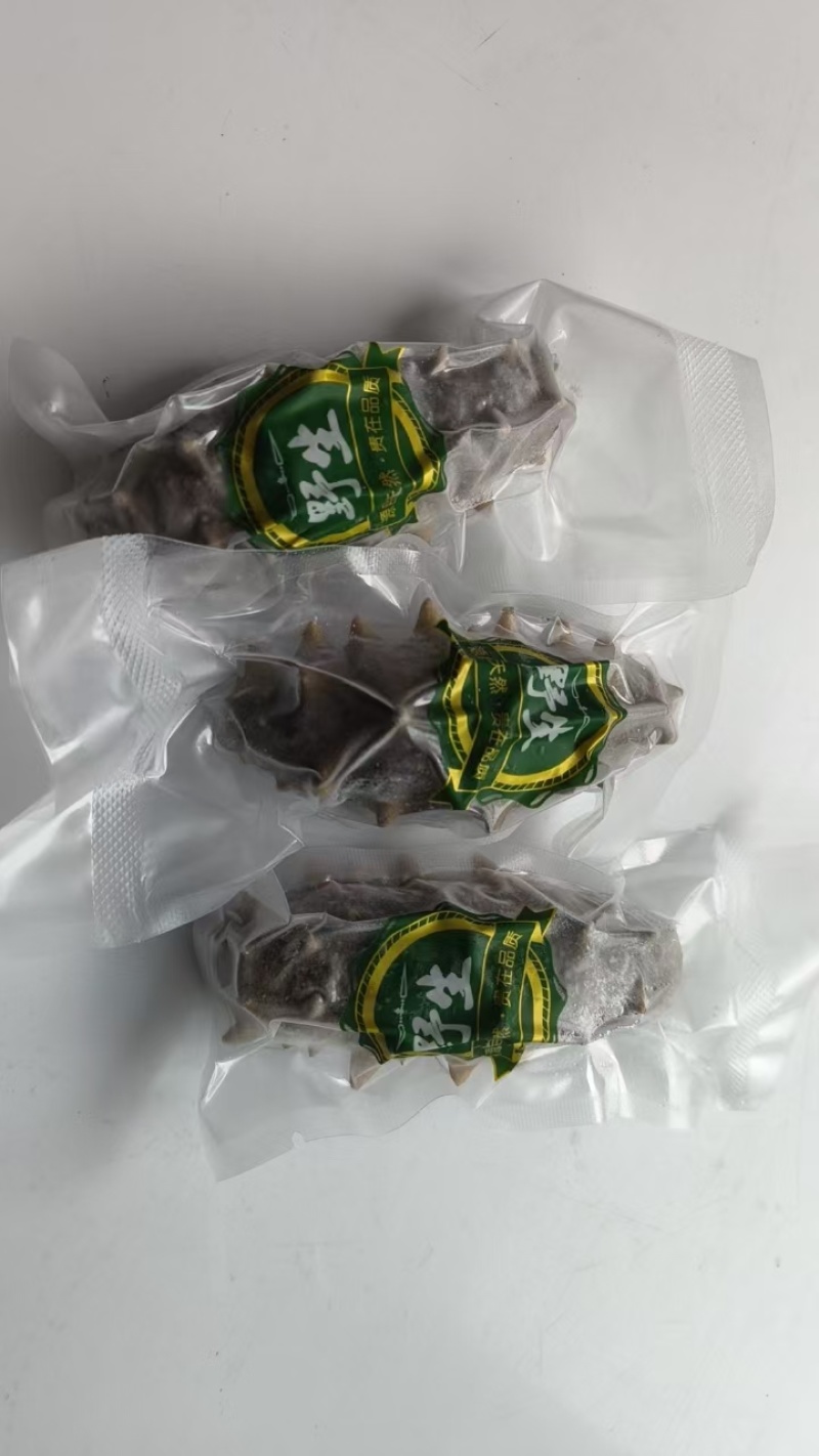 长岛海参，15g（6cm）/只精品海参欢迎各地客商来电洽谈