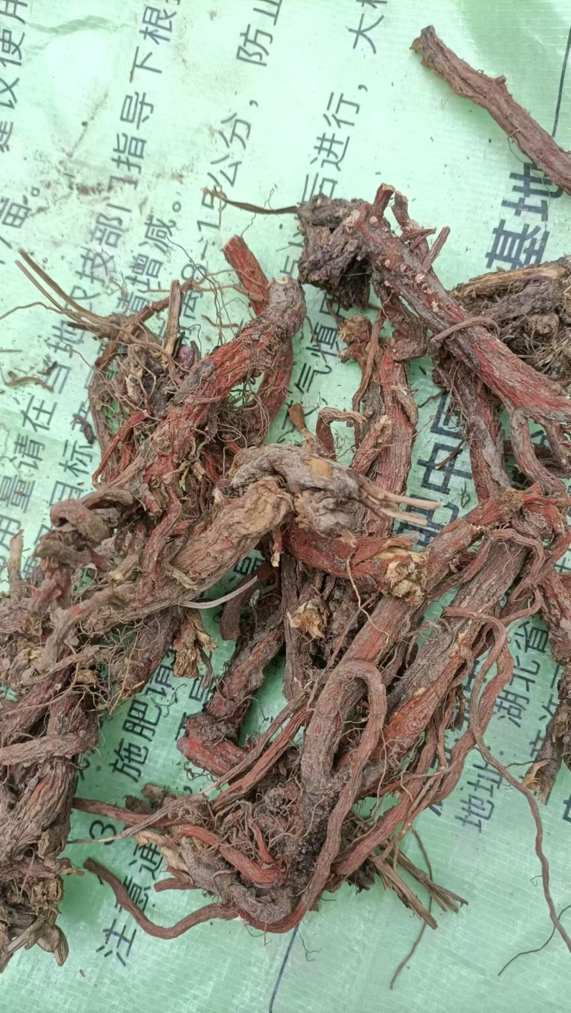 丹参天然无硫丹参段规格齐全诚信经营欢迎下单