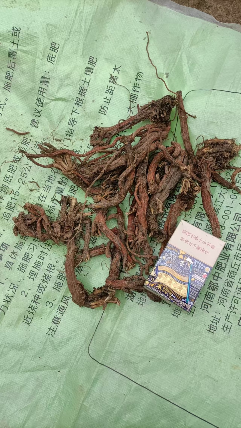 丹参天然无硫丹参段规格齐全诚信经营欢迎下单