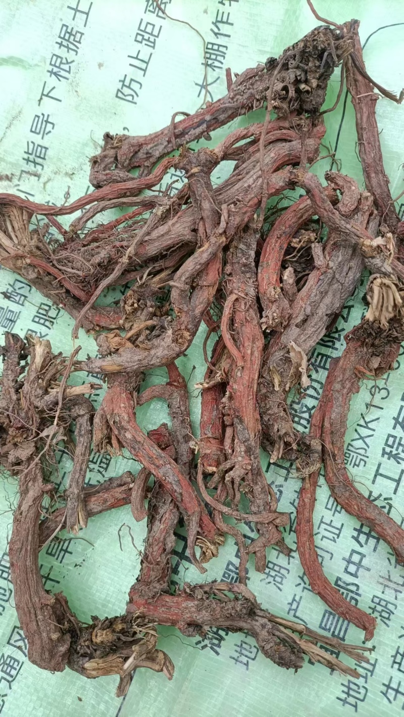 丹参天然无硫丹参段规格齐全诚信经营欢迎下单