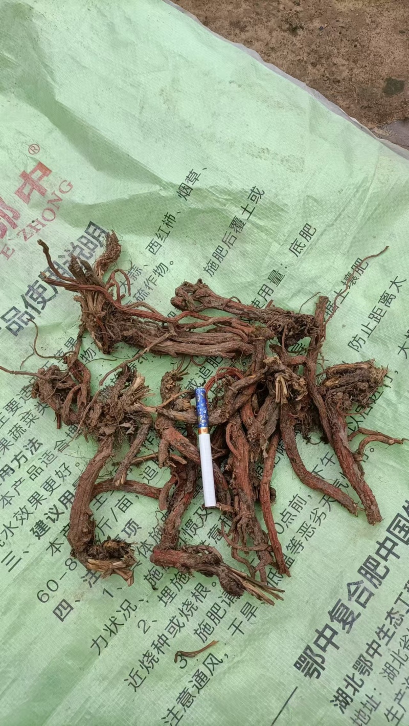 丹参天然无硫丹参段规格齐全诚信经营欢迎下单