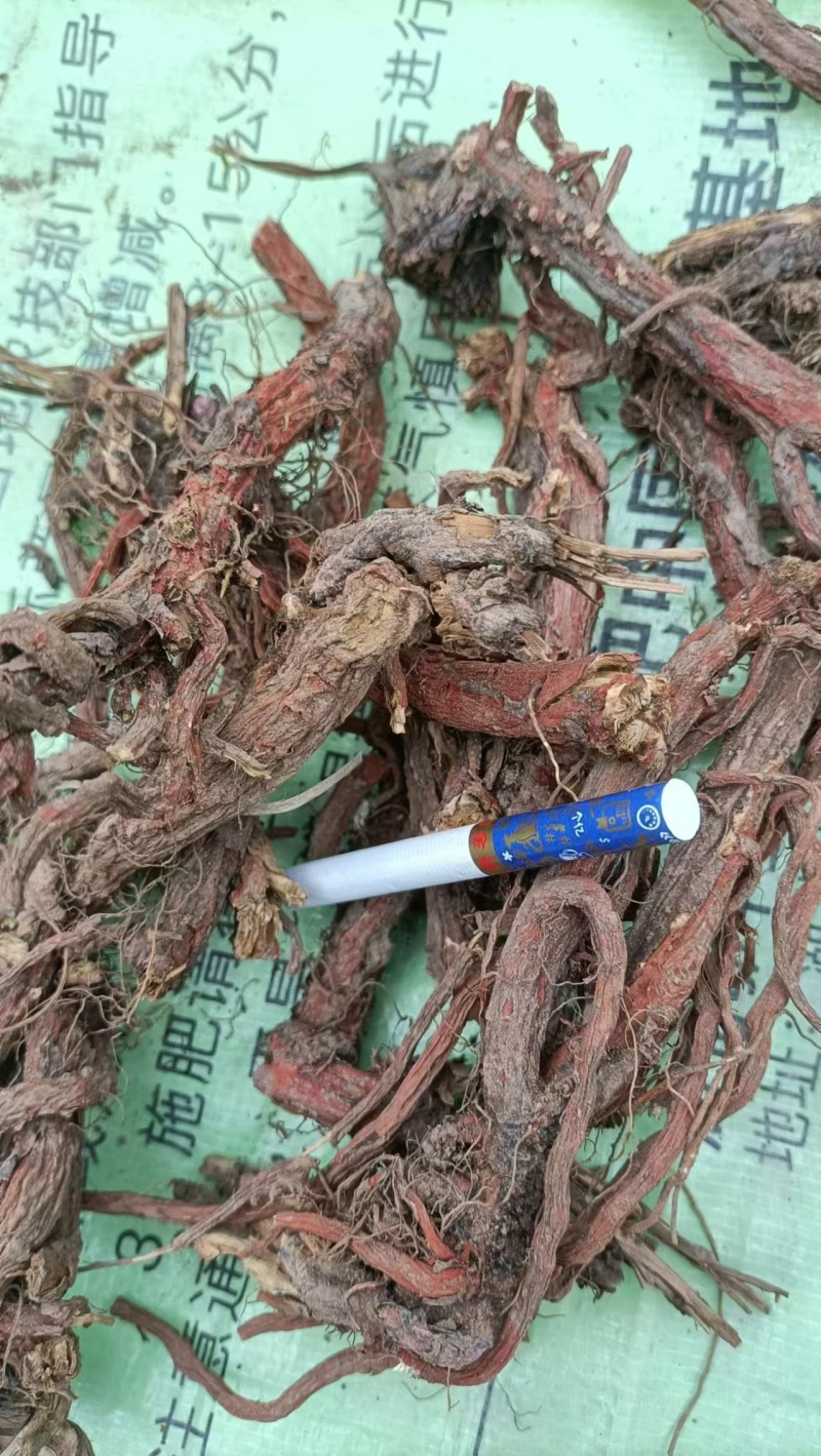 丹参天然无硫丹参段规格齐全诚信经营欢迎下单