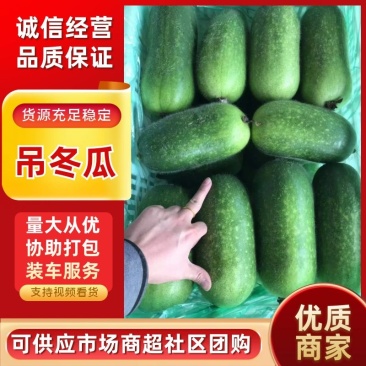 山东潍坊寿光黑皮小冬瓜全年有货产地直销精品食堂