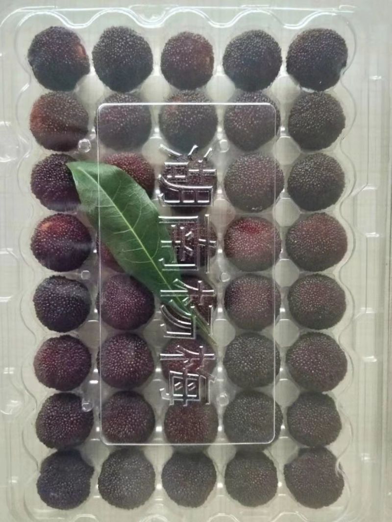 杨梅精品乌梅大量有货支持一件代发新鲜采摘包装精美欢迎采购