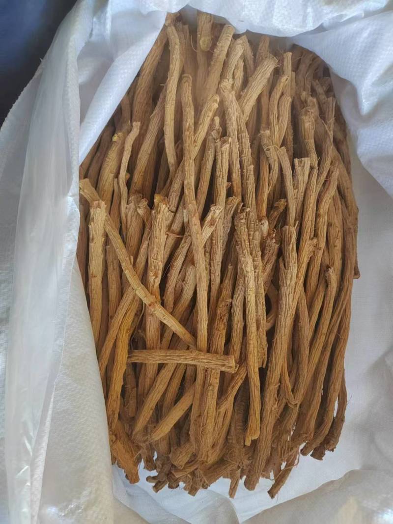 甘肃定西关防风，产地直发货源保证，欢迎来电合作