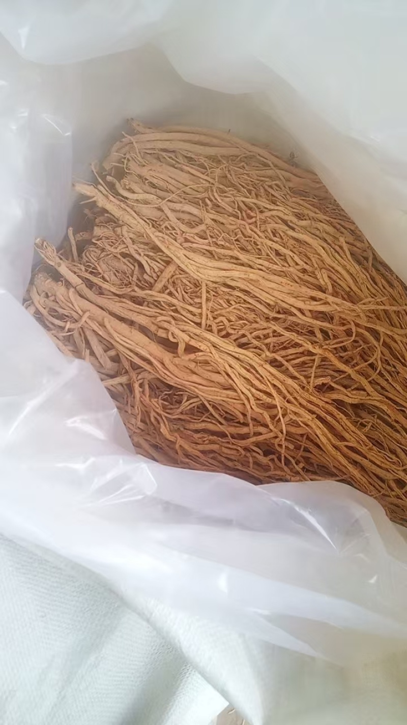 甘肃定西关防风，产地直发货源保证，欢迎来电合作