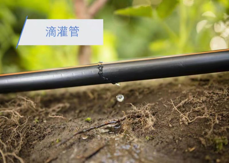 贴片滴灌带，滴灌，专用滴灌带单根可铺设300米