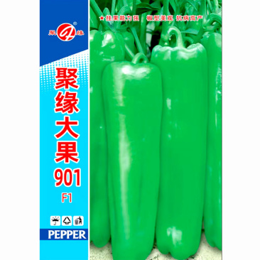 聚缘大果901粗长牛角椒种子早熟牛角椒果果长23重