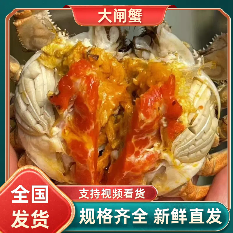 江苏兴化大闸蟹直供酒店，批发市场，团购商，欢迎新老客户