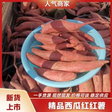 精选西瓜红红薯精品货源徐州发货实力代办一条龙服务来电洽谈