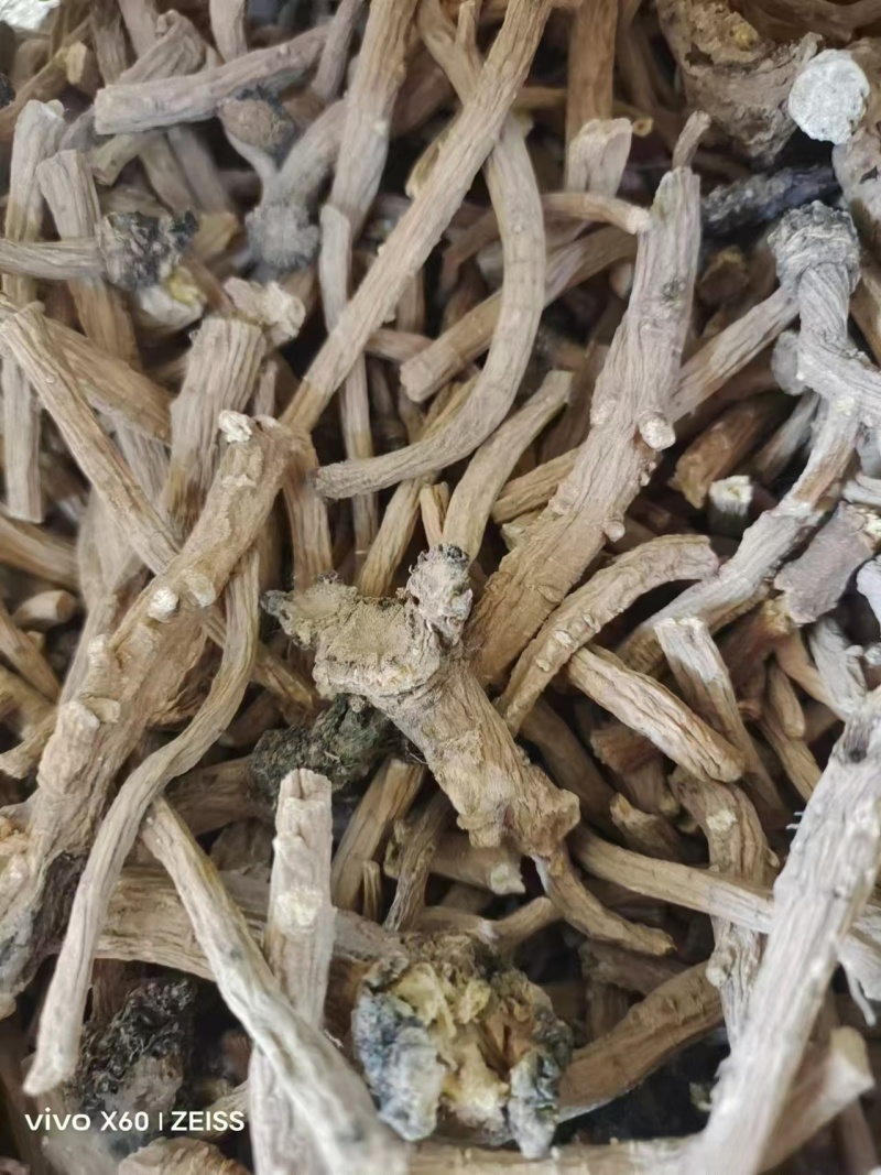 板蓝根甘肃中药材批发保证正品全国量大从优欢迎咨询