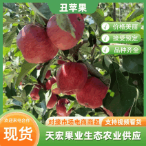 【实力货源】昭通冰糖心丑苹果，工厂果，越南出口欢迎下单
