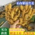 【代收代存】山东小黄姜精品生姜鲜姜上市量大从优对接全国