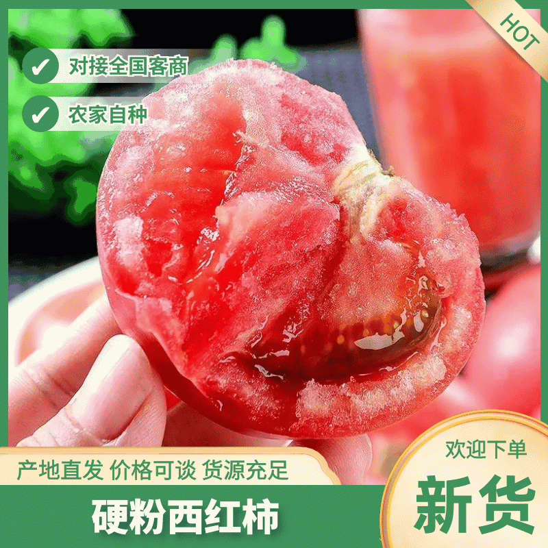 [好货]西红柿硬粉西红柿产地一手货源保质保量发货