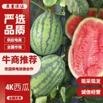 辽宁4K西瓜大量现货供应，诚信经营，可视频看货代发全国