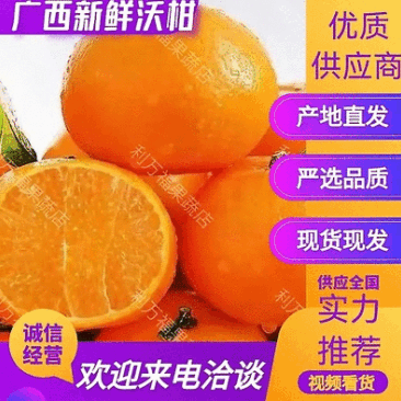 新鲜沃柑广西正宗柑橘果园直采货源稳定代发全国市场商超