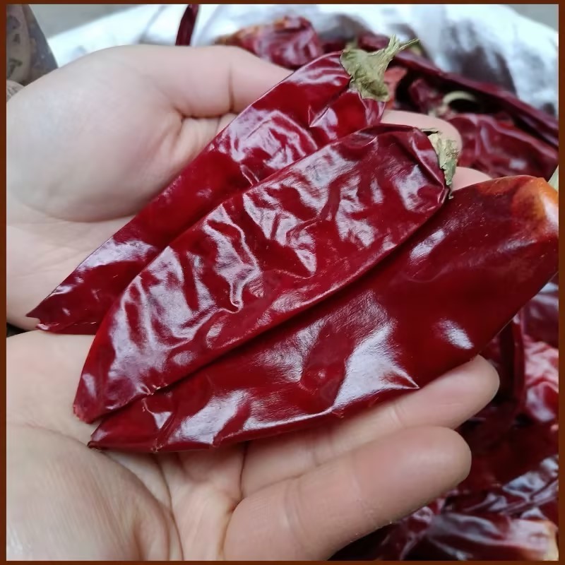 北京红干辣椒产地货源可视频看货量大从优一手货源来电洽谈