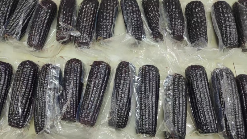 【一件代发】黑糯玉米黑玉米口感甘甜来电优惠商超品质
