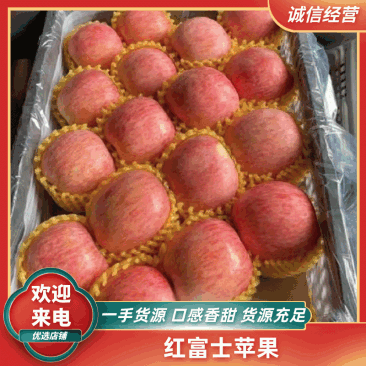 【红富士苹果】山东苹果大量现货供应，规格齐全欢迎电联
