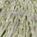 【精品】无筋豆现摘现发大量上市中欢迎咨询下单