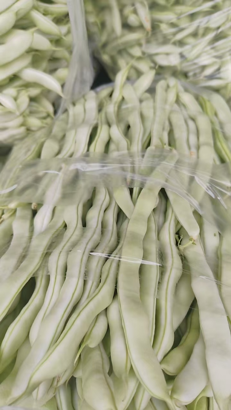 【精品】无筋豆现摘现发大量上市中欢迎咨询下单