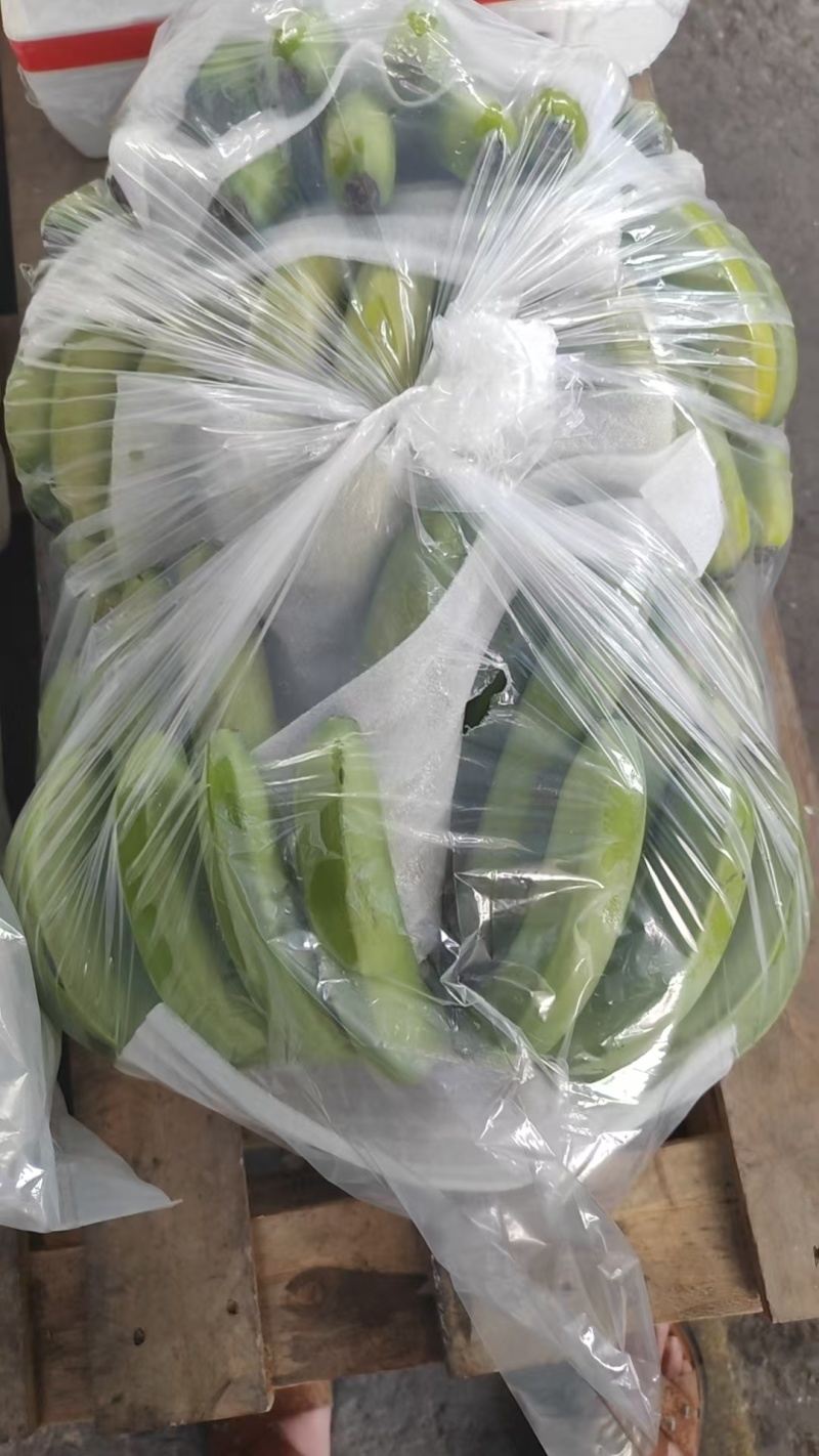 【精品】无筋豆现摘现发大量上市中欢迎咨询下单