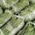 【精品】无筋豆现摘现发大量上市中欢迎咨询下单
