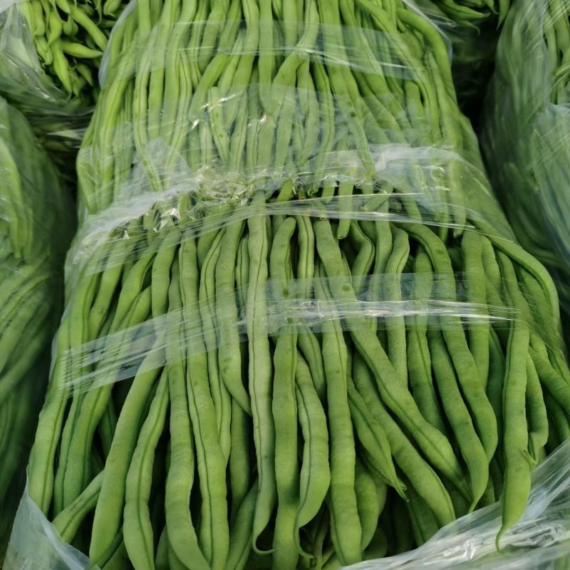 【精品】无筋豆现摘现发大量上市中欢迎咨询下单