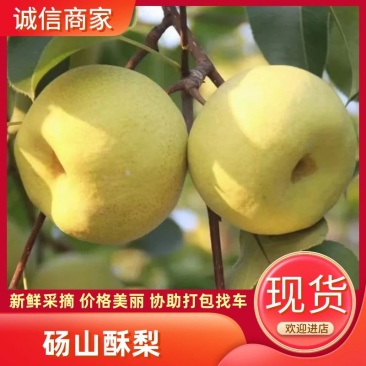 砀山梨一手货源产地直发，量大质优，专业代收代发全国各地