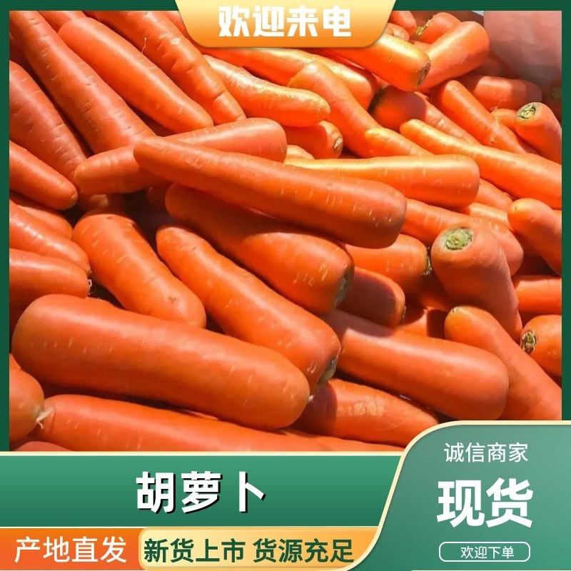 精品三红胡萝卜产地直达对接市场电商商超可视频看