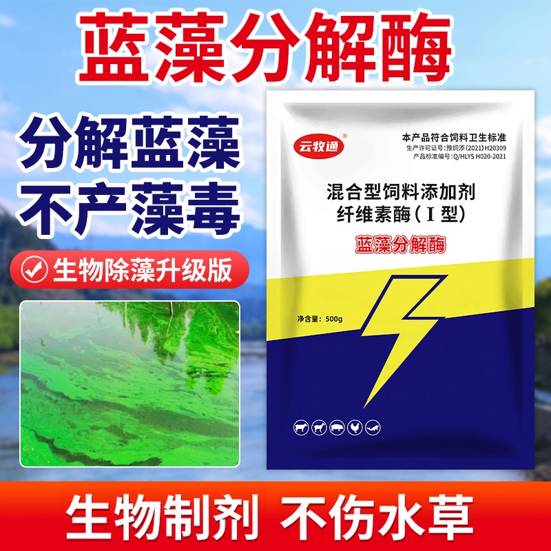 蓝藻分解酶以菌制藻除蓝藻稳定水质净化水质分解蓝藻