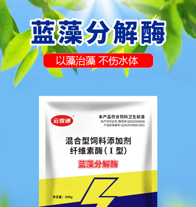 蓝藻分解酶以菌制藻除蓝藻稳定水质净化水质分解蓝藻