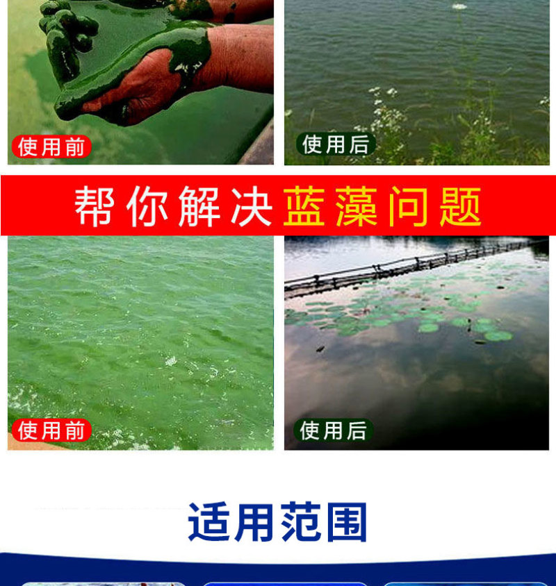 蓝藻分解酶以菌制藻除蓝藻稳定水质净化水质分解蓝藻