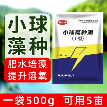小球藻种源鱼塘补藻肥水增氧定向培藻天然藻种