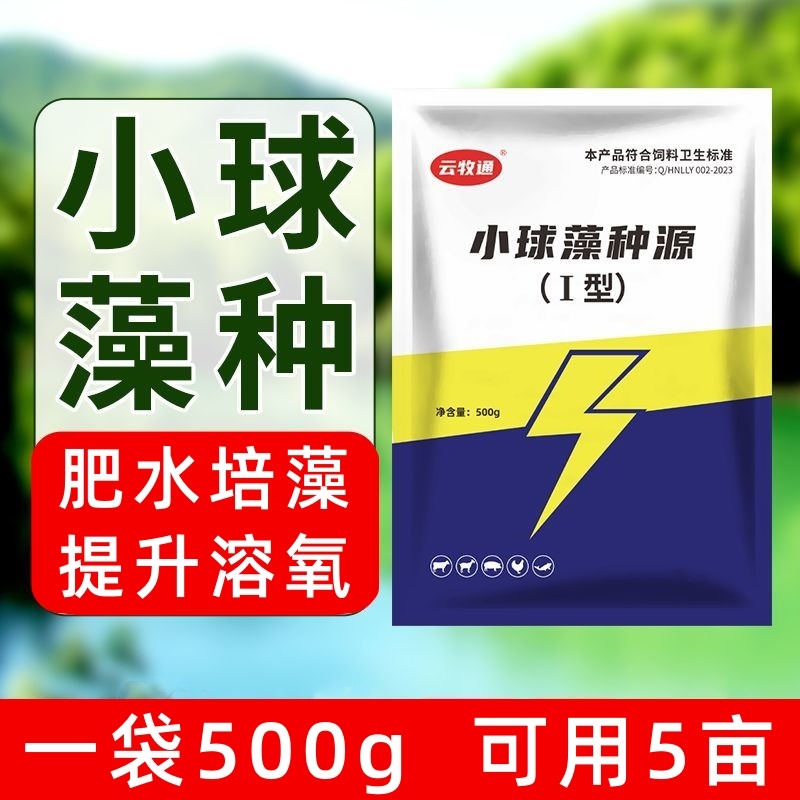 小球藻种源鱼塘补藻肥水增氧定向培藻天然藻种