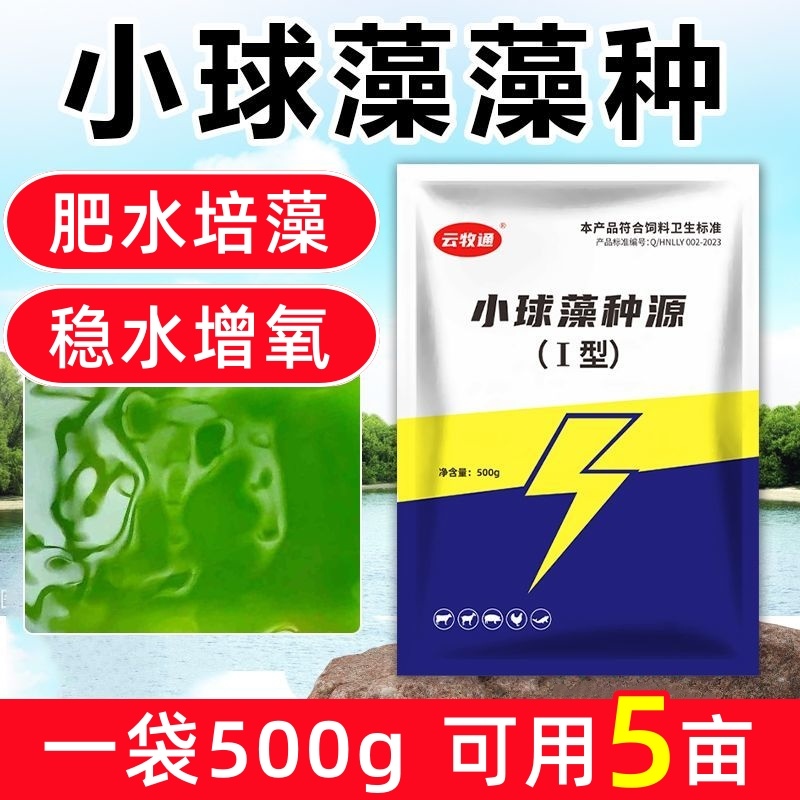 小球藻种源鱼塘补藻肥水增氧定向培藻天然藻种