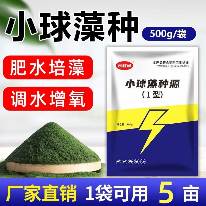 小球藻种源鱼塘补藻肥水增氧定向培藻天然藻种