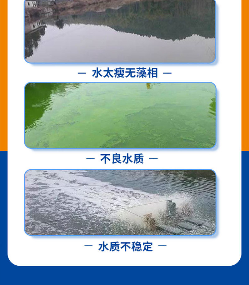 小球藻种源鱼塘补藻肥水增氧定向培藻天然藻种
