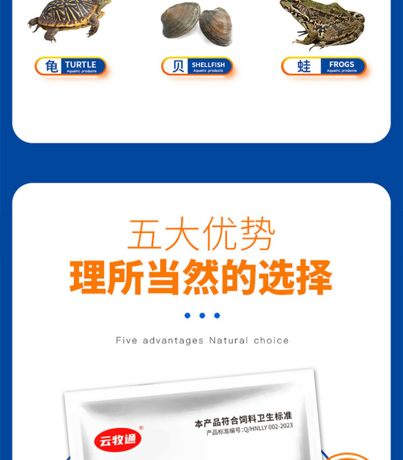 小球藻种源鱼塘补藻肥水增氧定向培藻天然藻种