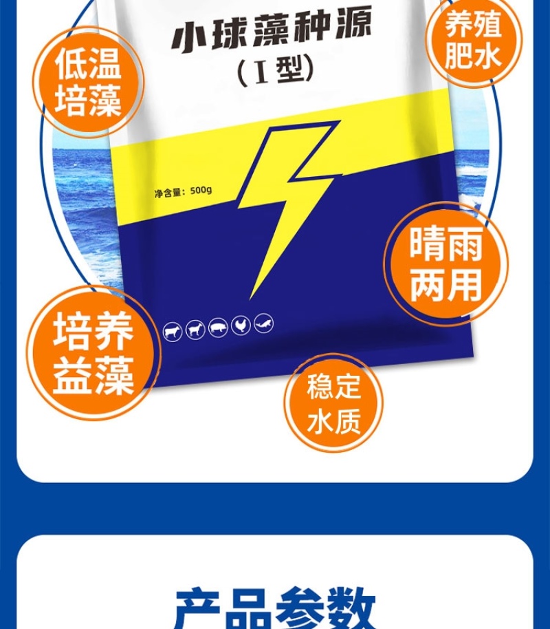 小球藻种源鱼塘补藻肥水增氧定向培藻天然藻种