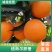 夏橙，精品夏橙个大皮薄红似火，果面光滑口感纯甜欢迎咨询