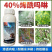 鑫星40%烯酰吗啉杀菌剂蔬菜果树霜霉病疫病黑胫杀菌剂
