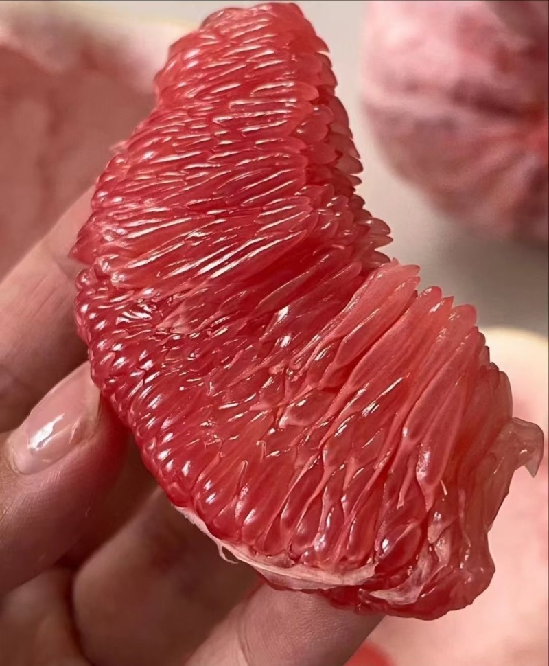 福建官溪红心红柚/皮薄肉多/产地直发/量大价美/欢迎致电