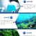 极客丁速溶营养肥肥水稳水鱼塘肥水调水低温肥水