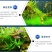 极客丁速溶营养肥肥水稳水鱼塘肥水调水低温肥水