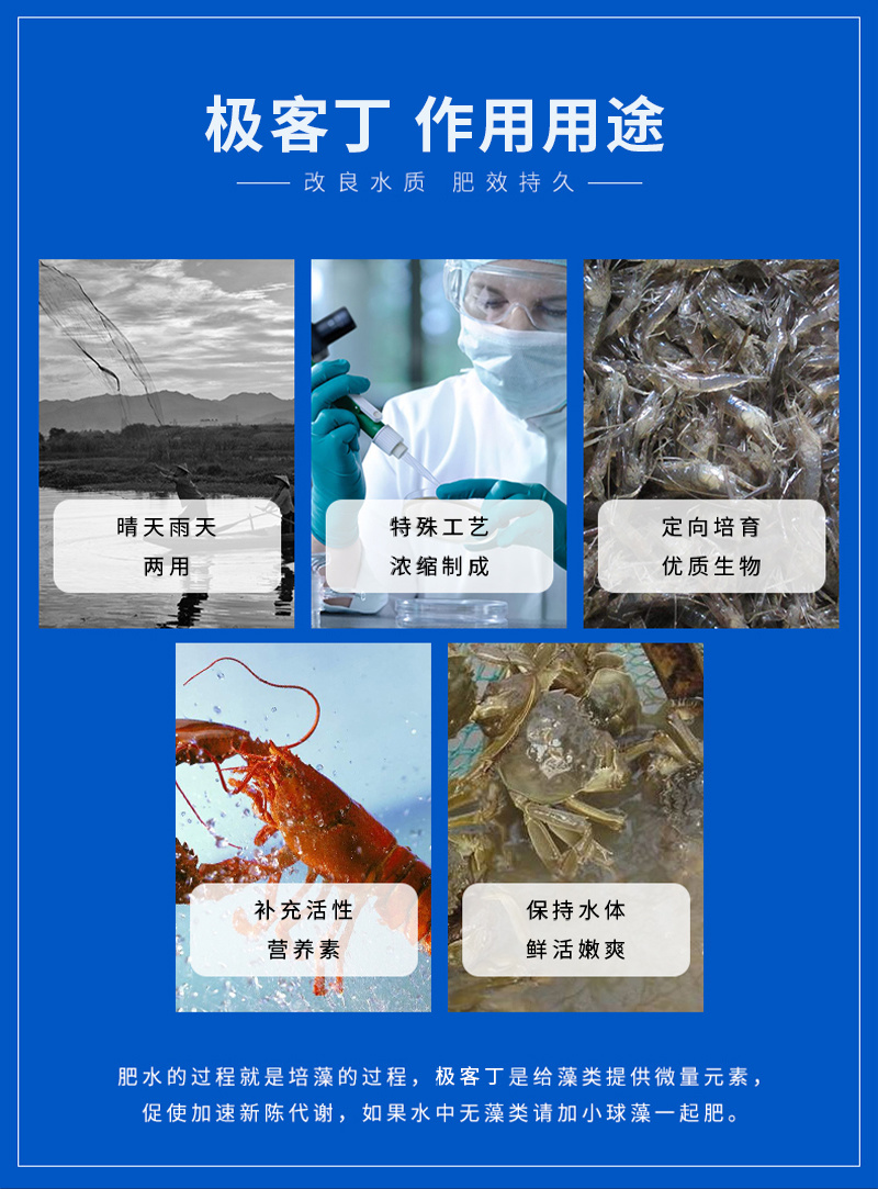 极客丁速溶营养肥肥水稳水鱼塘肥水调水低温肥水