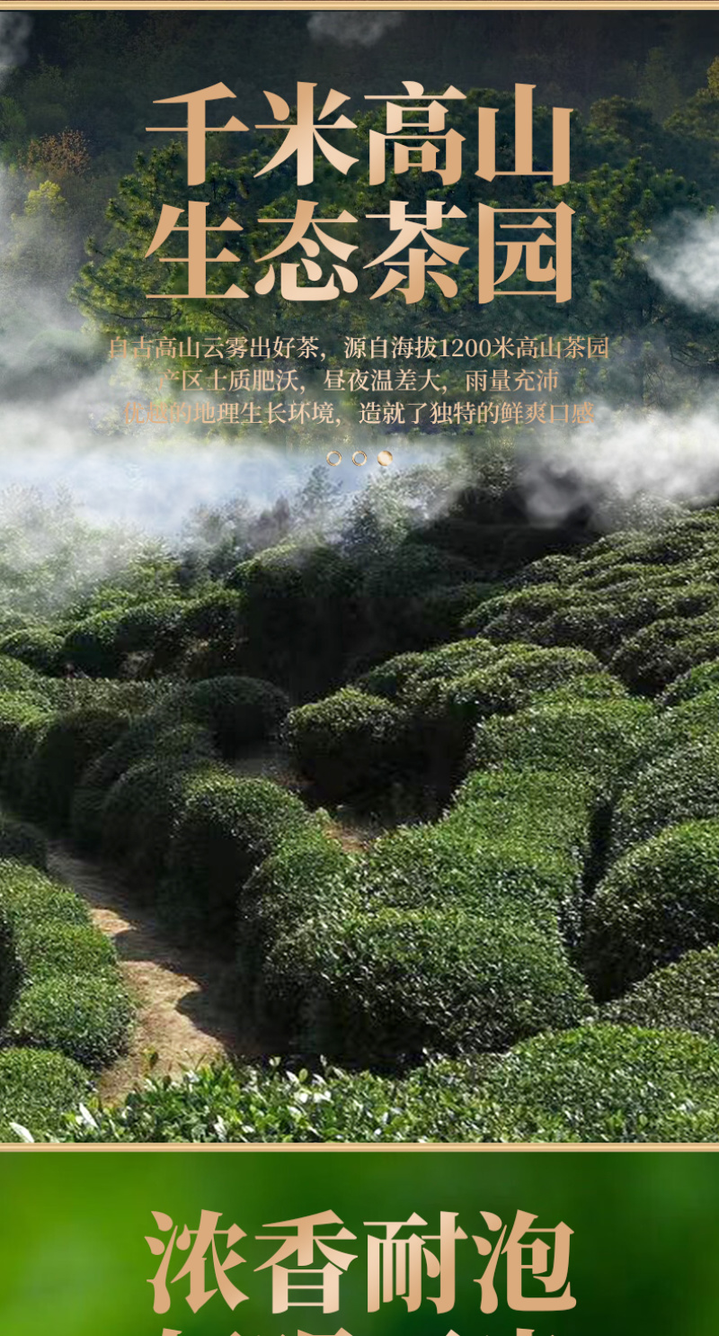 陕西西乡绿珠茶业有限公汉中绿茶50克/罐降温茶福利茶