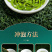 陕西西乡绿珠茶业有限公汉中绿茶50克/罐降温茶福利茶